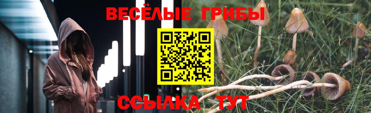 Галлюциногенные грибы мухоморы  Псилоцибиновые грибы Psilocybine cubensis  Вход с VPN  Ипатово 